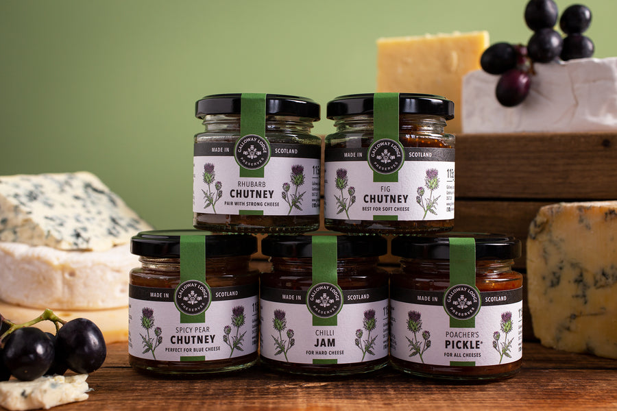 Perfect for Cheese Bundle