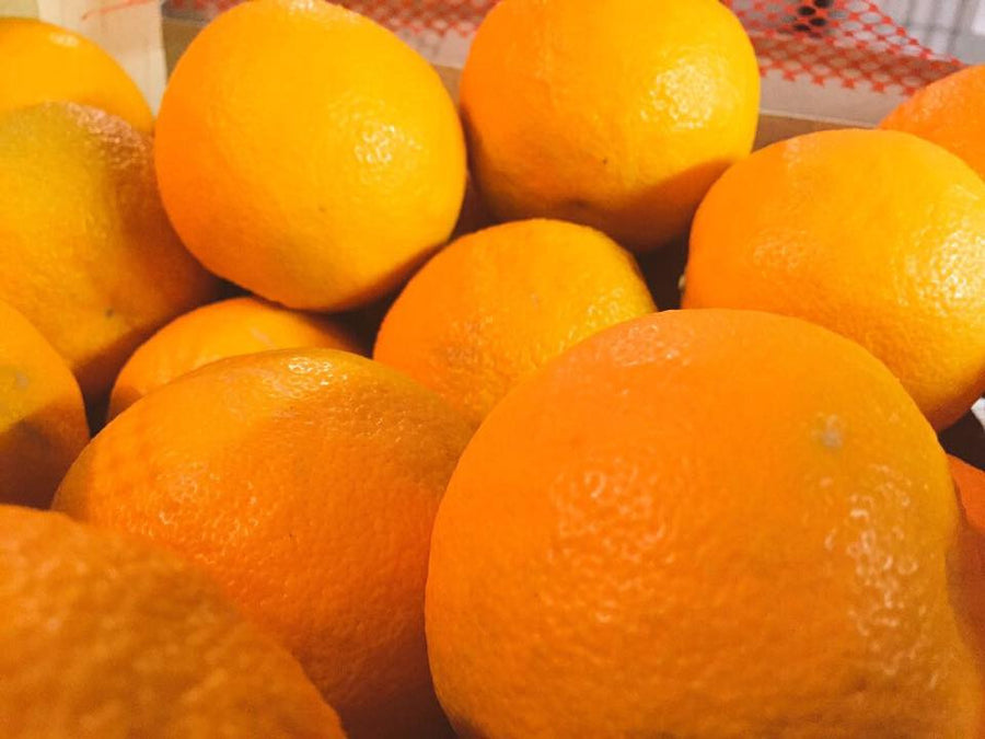 Seville Orange Marmalade