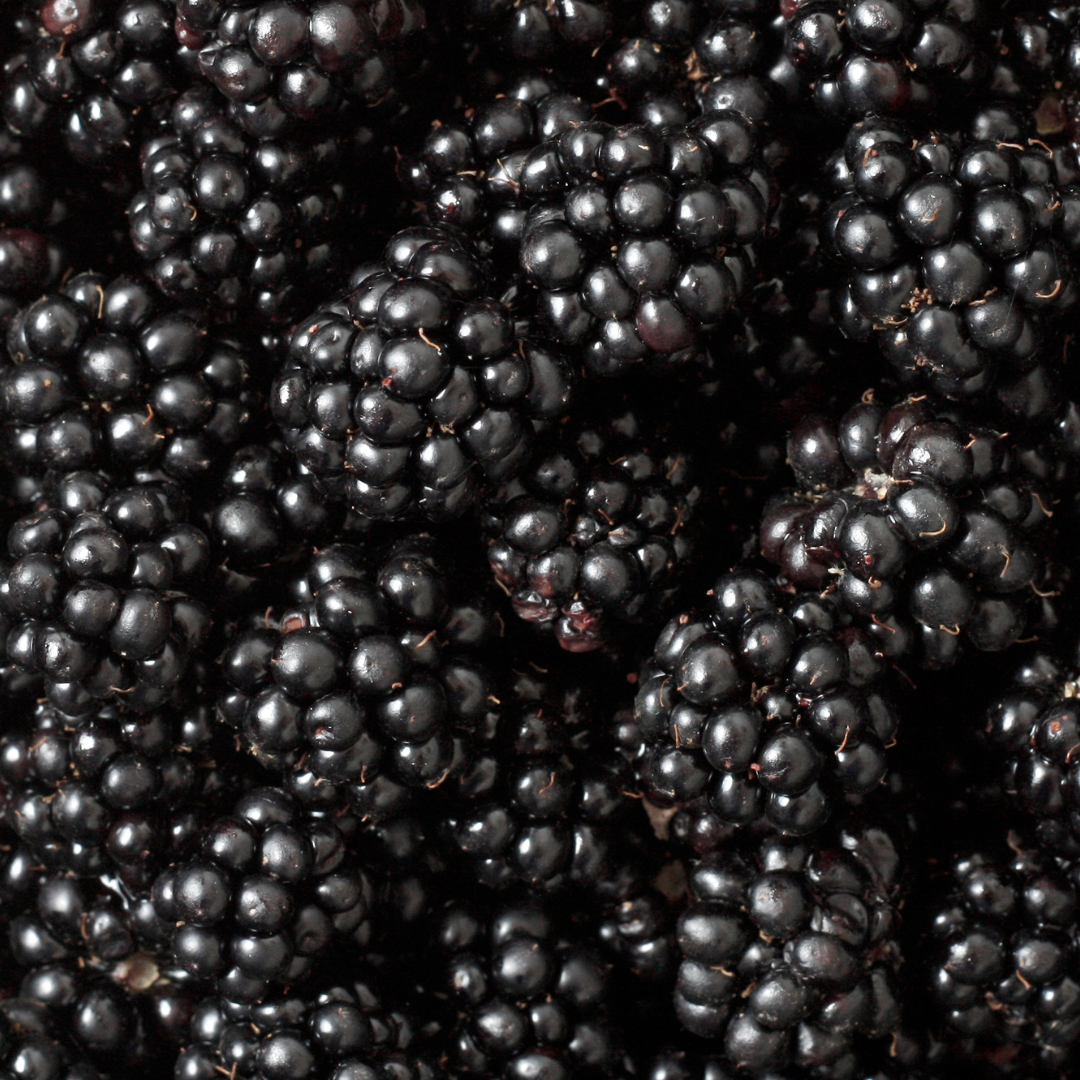 Bramble Jam 1kg