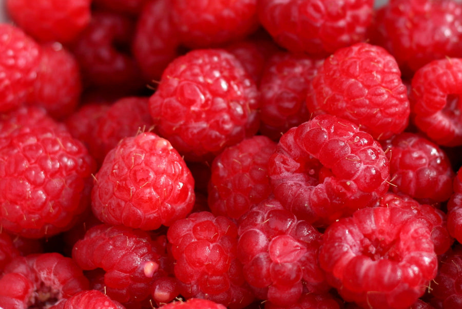 Raspberry Jam