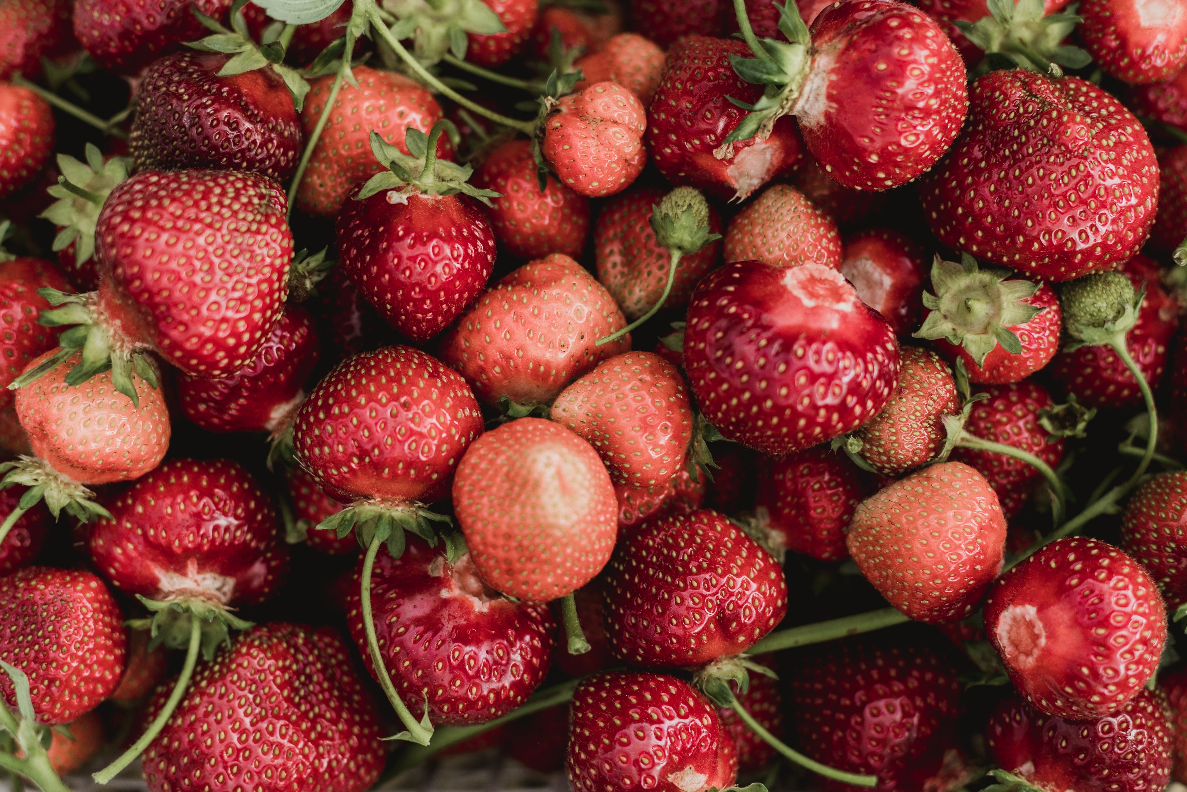 Strawberry Jam